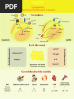 Fase 3. Tejido Adiposo e Inflamación