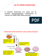 Biologia Della Cellula Trasformata 2018 OPD