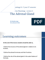 Endocrine Physiolgy - Lec 04 - Intake 40 - Adrenal Gland