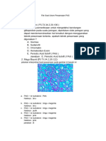 File Soal Ukom Pewarnaan PAS