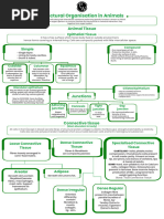 Structural Organisation in Animals - Mind Maps - Yakeen 3.0 2024