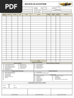 Formato Reporte de Scoop - V2