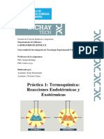 Práctica.1 - Termoquímica - Reacciones Exotérmicas y Endotérmicas