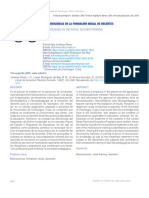 La Neurociencia en La Formacion Inicial