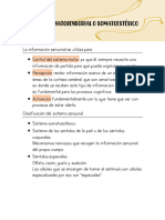 Copia de SISTEMA SOMATOSENSORIAL O SOMATOESTÉSICO