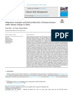 Adaptation Strategies and Land Productivity of Banana Farmers