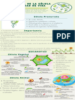 Infografía Biología Tipos de Células Ilustrativa Verde