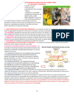 Funciones de Relación en Los Seres Vivos de La Madre Tierra 