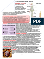 Patologias Sistema Nervioso