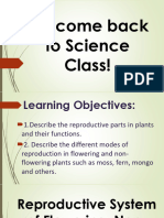 Reproductive System of Flowering, Non-Flowering, and Spore-Bearing