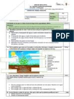 Ciencias Naturales