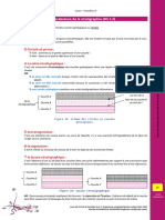 Stratigraphie SVT Première D 2023