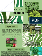 Presentacion Reino Plantae