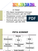 Krom, Gen, Dan DNA