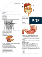 Soal Sistem Pencernaan