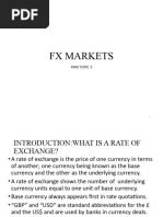 FRM Topic 3 FX Markets and Risk L 14 August 2023