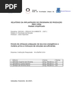 RELATÓRIO DA IMPLANTAÇÃO DO PROGRAMA DE PRODUÇÃO MAIS LIMPAimprimir