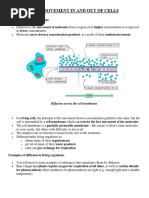 Movement in and Out of Cells