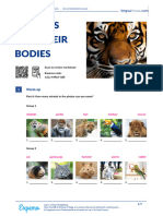 Animals and Their Bodies British English Teacher