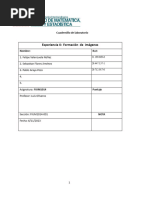 LAB 04 Formación de Imágenes Espejos Planos y Cóncavo