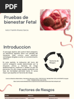 Pruebas de Bienestar Fetal