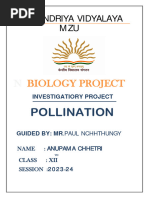 Kvmzupollinationproject