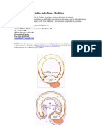 Tabla Científica de La Nueva Medicina Germánica Del Dr. Ryke Geerd Hamer