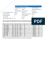 Repayment Schedule 11-20-20