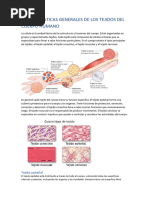 Características Generales de Los Tejidos-Fp Sanidad