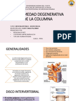 Enfermedades Degenerativas de La Columna Vertebral