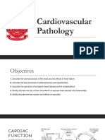 Cardiovascular Pathology