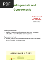 8 Andro Gynogenesis VII