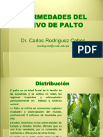 PPTPractica 4 Enfermedadesdelpalto