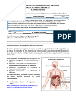 PDF Documento