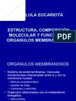 Organulos Membranosos