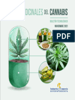 Cannabis Medicinal Boletin