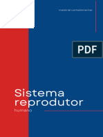 Sistema Reprodutor