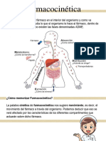 Farmacocinetica 10 Hojas A Color