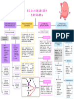 Fisiologia de La Secrecion Gastritica