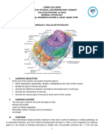 GenPath Mod2 Cellular Pathology