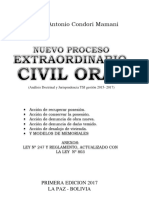 Nuevo Proceso Extraordinario Civil, Oral