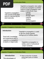 2 LECTURE - Plant - Propagation