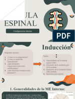 Médula Espinal - Configuración Interna