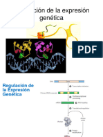 Regulacion Expresion