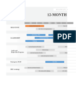 12 Month HSE Roadmap