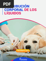 Distribución Corporal de Los Líquidos