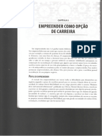 Empreendeder Como Opção de Carreira - Ronald Jean Degen - Capítulo 2