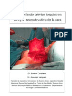 Colgajo Fascio Cérvico Torácico en Cirugía Reconstructiva de La Cara New 96
