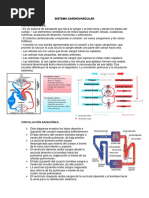 Resumen de SISTEMA CARDIOVASCULAR