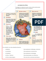 Taller Fisica